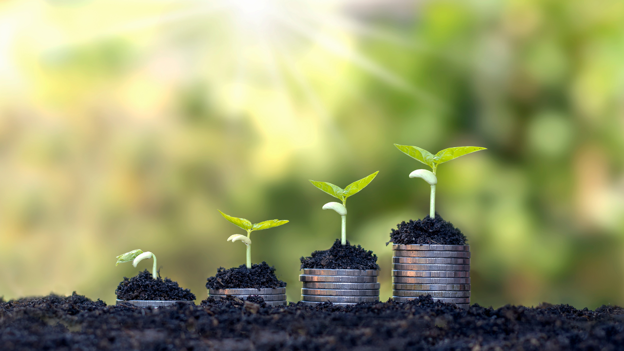 Mastering Profit and Loss Analysis in Hedge Funds